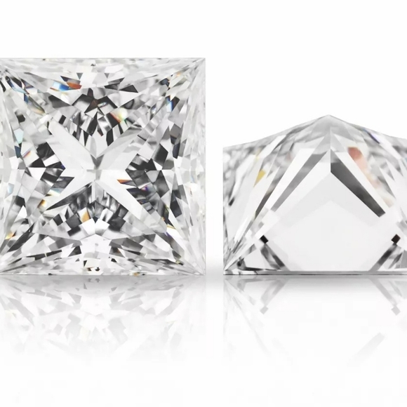 Meet your Posher, Vashti - Picture 6 of 13